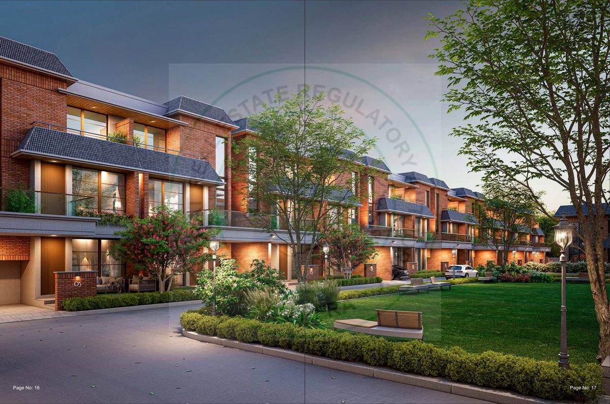 Meridian Majesty Image 9 Meridian Majesty - Image 9